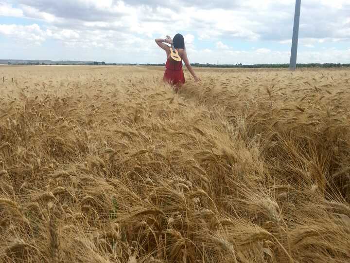 Marcone_Giandom's tweet photo. #laraccoltadelgrano   2016
#granoro Dedicato https://t.co/CUhNsivDws