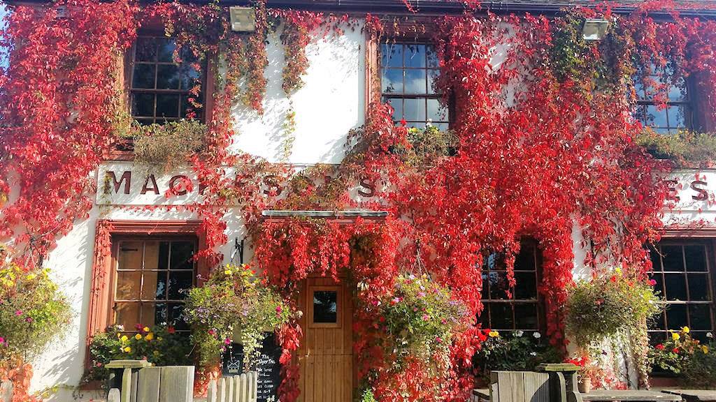 tigerstowting's tweet photo. We've been at the Tiger for a year, and are having a great time, while business is booming. Here's to the next year! https://t.co/H7S1bRovnM