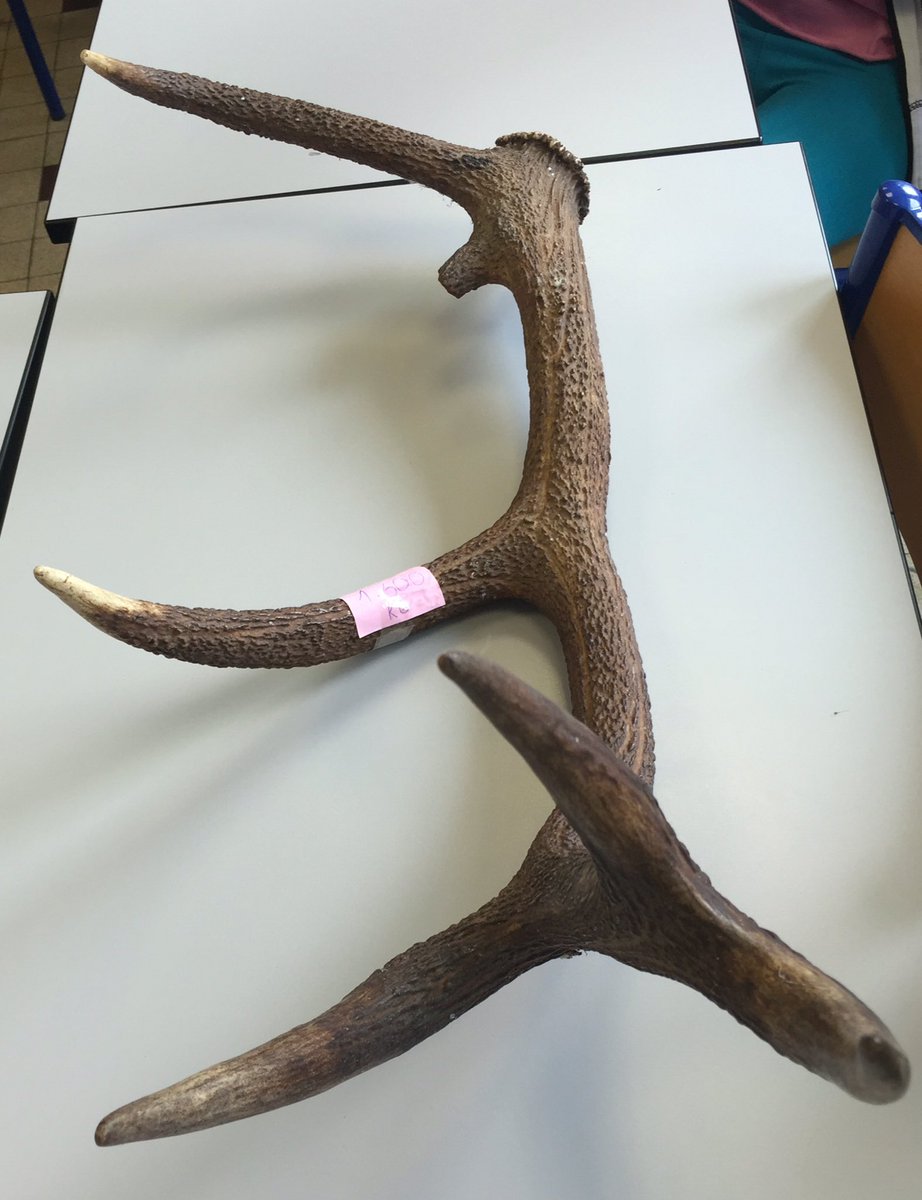 CM1 CM2 Langevin1 tweet media