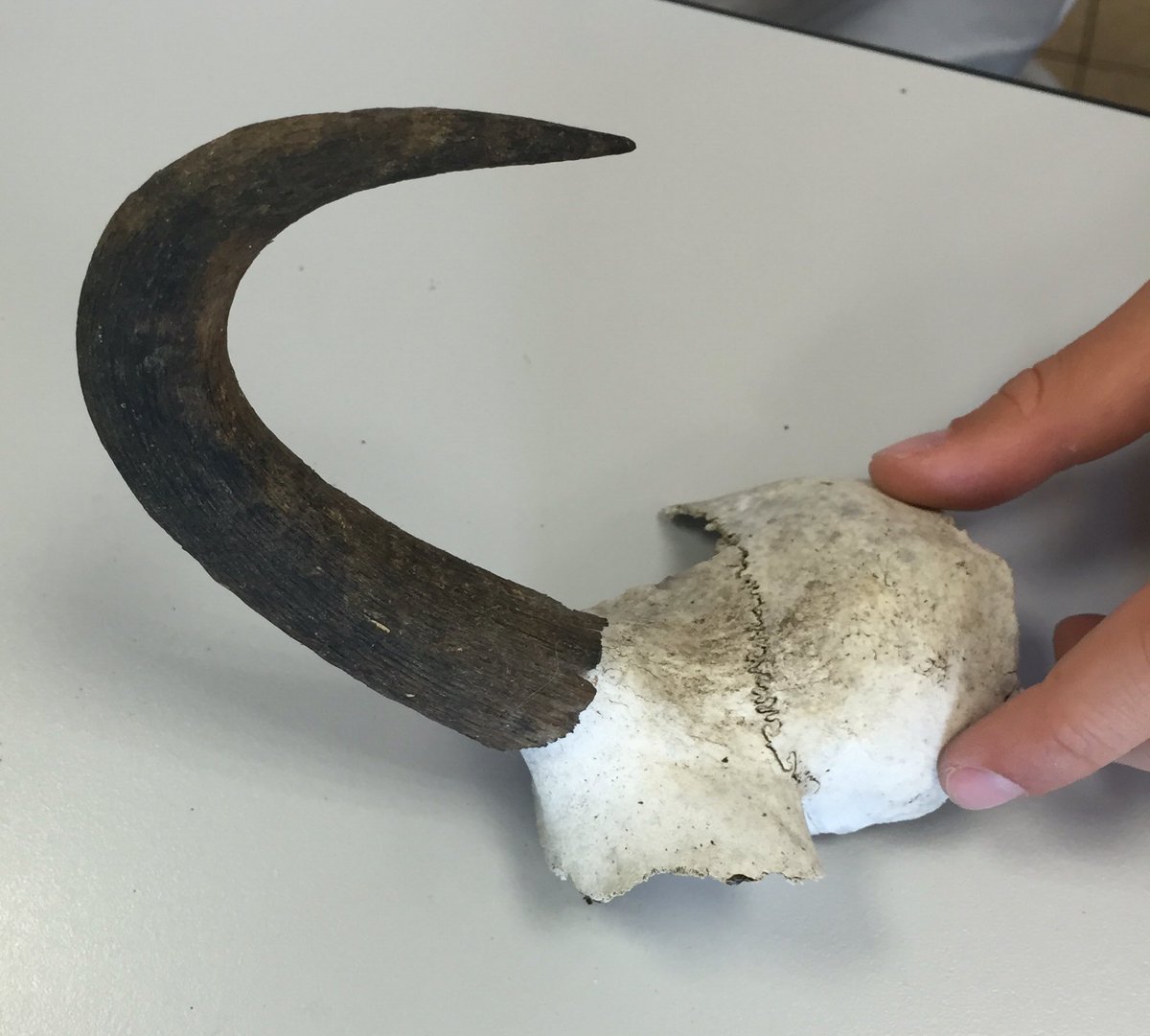 CM1 CM2 Langevin1 tweet media