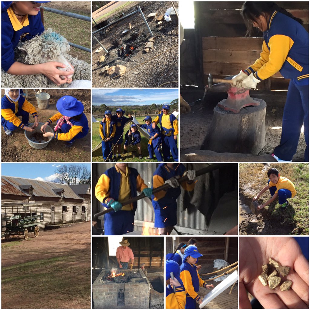 Fiona Gray tweet media