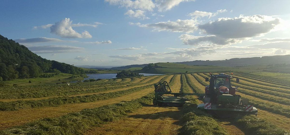 Galbraith_Rural's tweet photo. Great to see some farmers out making the most of the #summersolstice weather yesterday. #dryingwind #silage2016 https://t.co/aLfAHTGjzR