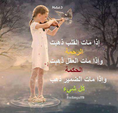 techorbit3099's tweet image. 