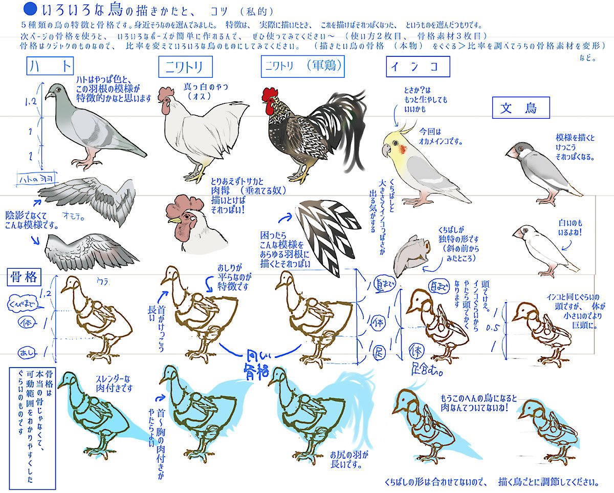 八幡 Vtuberサラと配信中 講座てきなもの 鳥の描き方 種類別のコツなど グリグリ動かせる骨格素材ついてます 動かし 方つき 我流なので これが一番いい描き方とかではないです T Co Nqdxkqs2uz Twitter 八幡 Vtuberサラと配信中 講座てきなもの 鳥の描き方 種類別のコツなど グリグリ動かせる骨格素材ついてます 動かし 方つき 我流なので これが一番いい描き方とかではないです T Co Nqdxkqs2uz Twitter