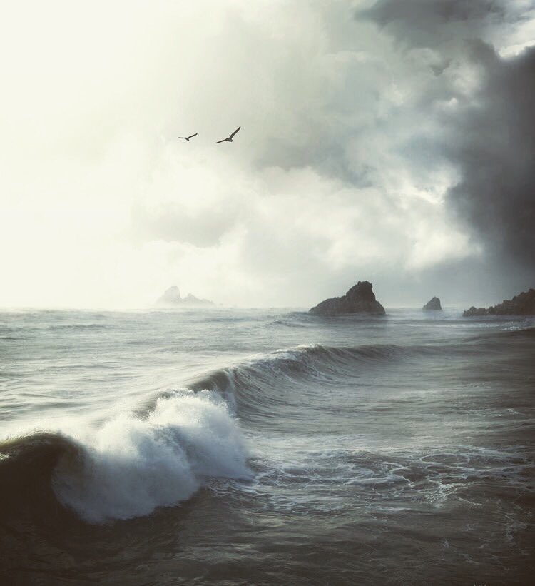 thecoralgrove's tweet photo. Breathe..🌊

🌊✨✨....#perfect #paradise  #mermaid #mermaidsgrave ✨Photographer Unknown https://t.co/K99RA5qJsj