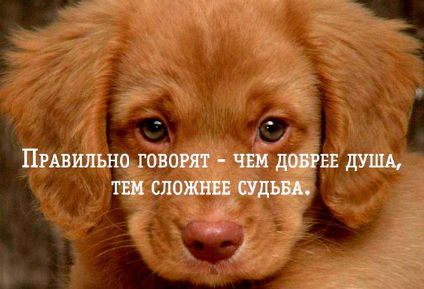 Arina Andreeva (@andreevaarina2) on Twitter photo 