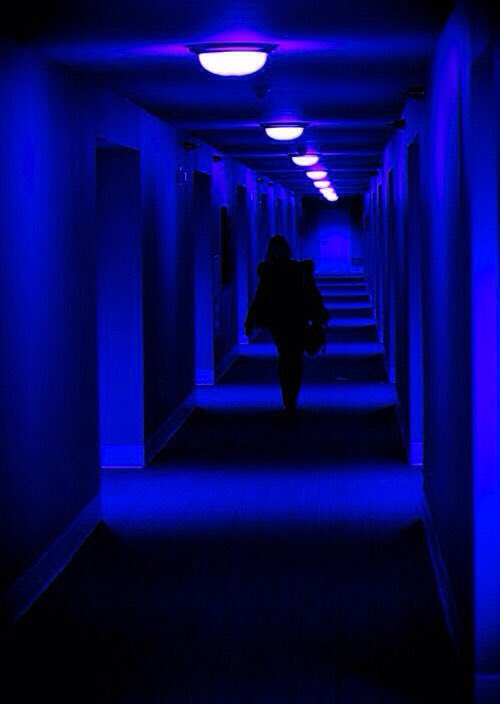 xneonrol's tweet photo. ☽ ۪۰۫✧nuevo rol multifandom con muchos personajes libres. —

¿RT, para dar a conocer?
❝we are the neon people.❞ ۪۰۫✧ https://t.co/HM1kVh1iU6