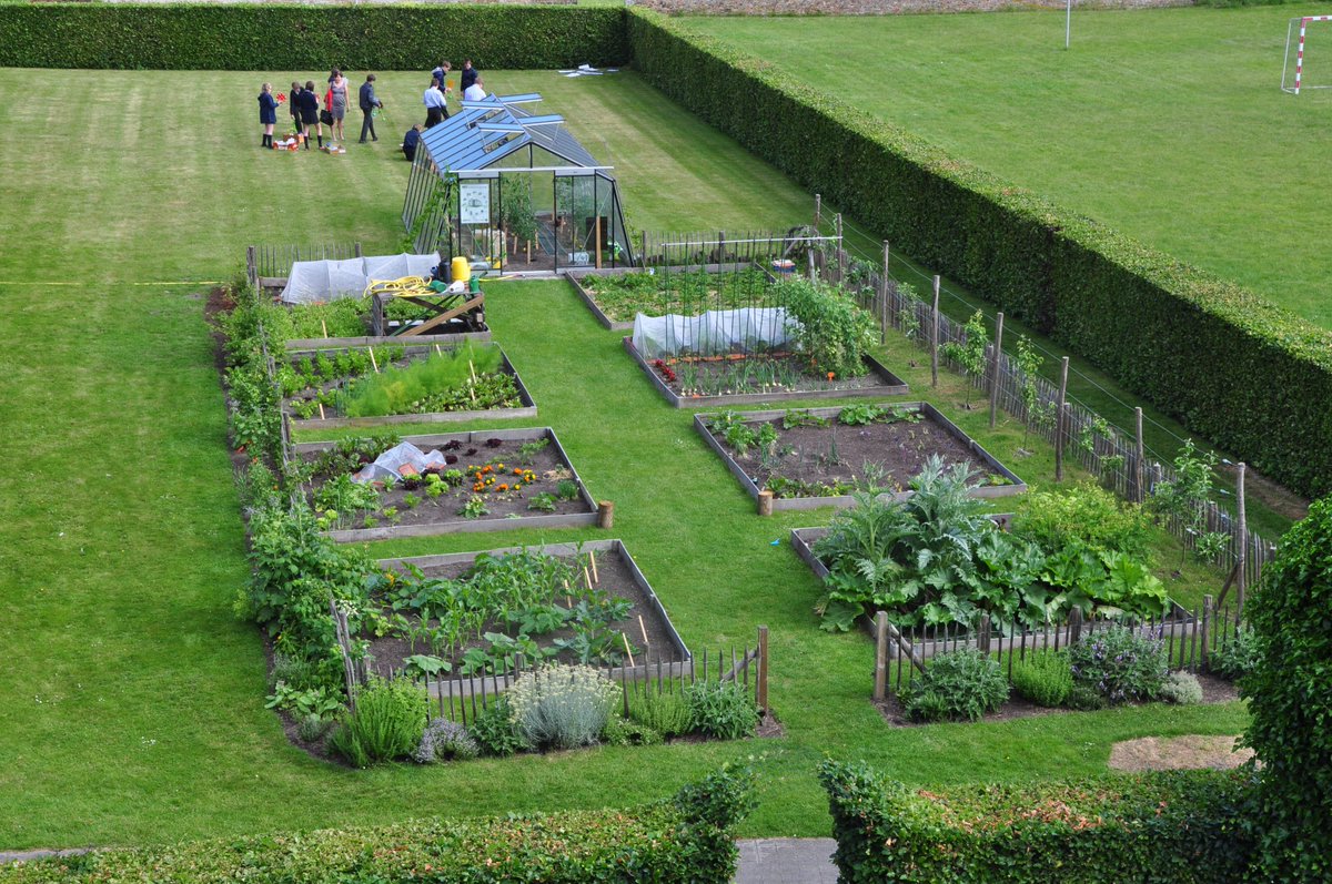 ACDtuinkas's tweet photo. @Spermalieschool vertelt: #biologisch #moestuinieren #tuinserres #koken #vers #groenten https://t.co/wkoizEOOuI https://t.co/r9uSQPaeff