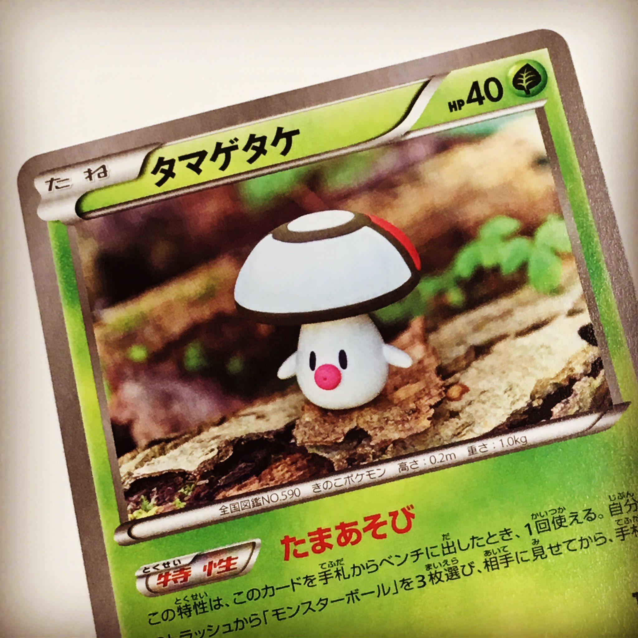 森井ユカ Yuka Morii きのこポケモン タマゲタケ 作りました 拡張パック 爆熱の闘士 に入っている カモです よろしくお願いします Pokemon Pokemoncards ポケモン ポケモンカード T Co 3vt8euhebr Twitter 森井ユカ Yuka Morii きのこポケモン タマゲタケ 作りました 拡張パック 爆熱の闘士 に入っている カモです よろしくお願いします Pokemon Pokemoncards ポケモン ポケモンカード T Co 3vt8euhebr Twitter