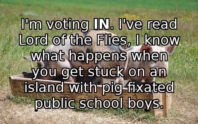 HannahDingle's tweet photo. Best #VoteRemain reason I've seen yet. Please don't leave me stranded on an island with #DavidHameron  #EUref #eu https://t.co/3W4XKWljeG