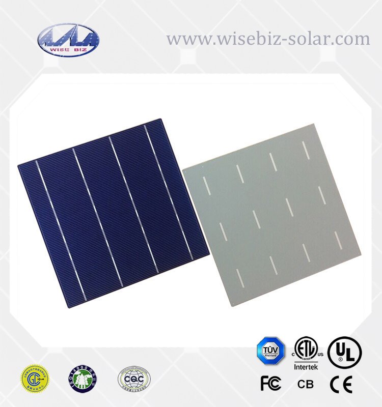 kittyzhang12's tweet image. 