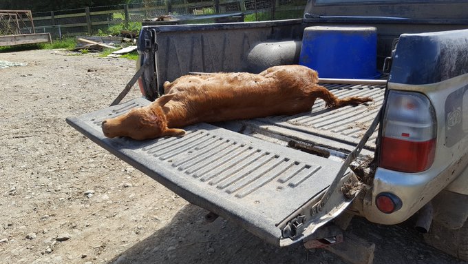 View image on Twitter View image on Twitter