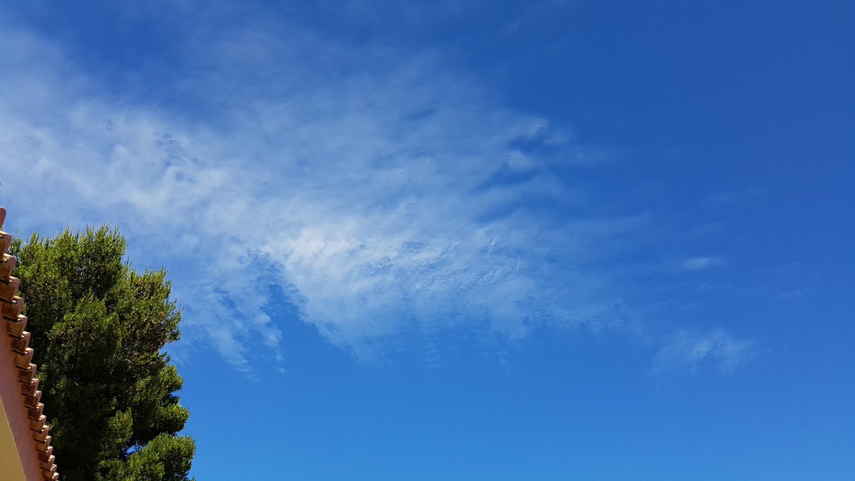 MeteoElRealon's tweet photo. #compartetufotodeldia
#ColaboradoresDelTiempo
#Cirrius
#Picassent #ElRealon
16:35🕛 https://t.co/vvs2mrzn1e