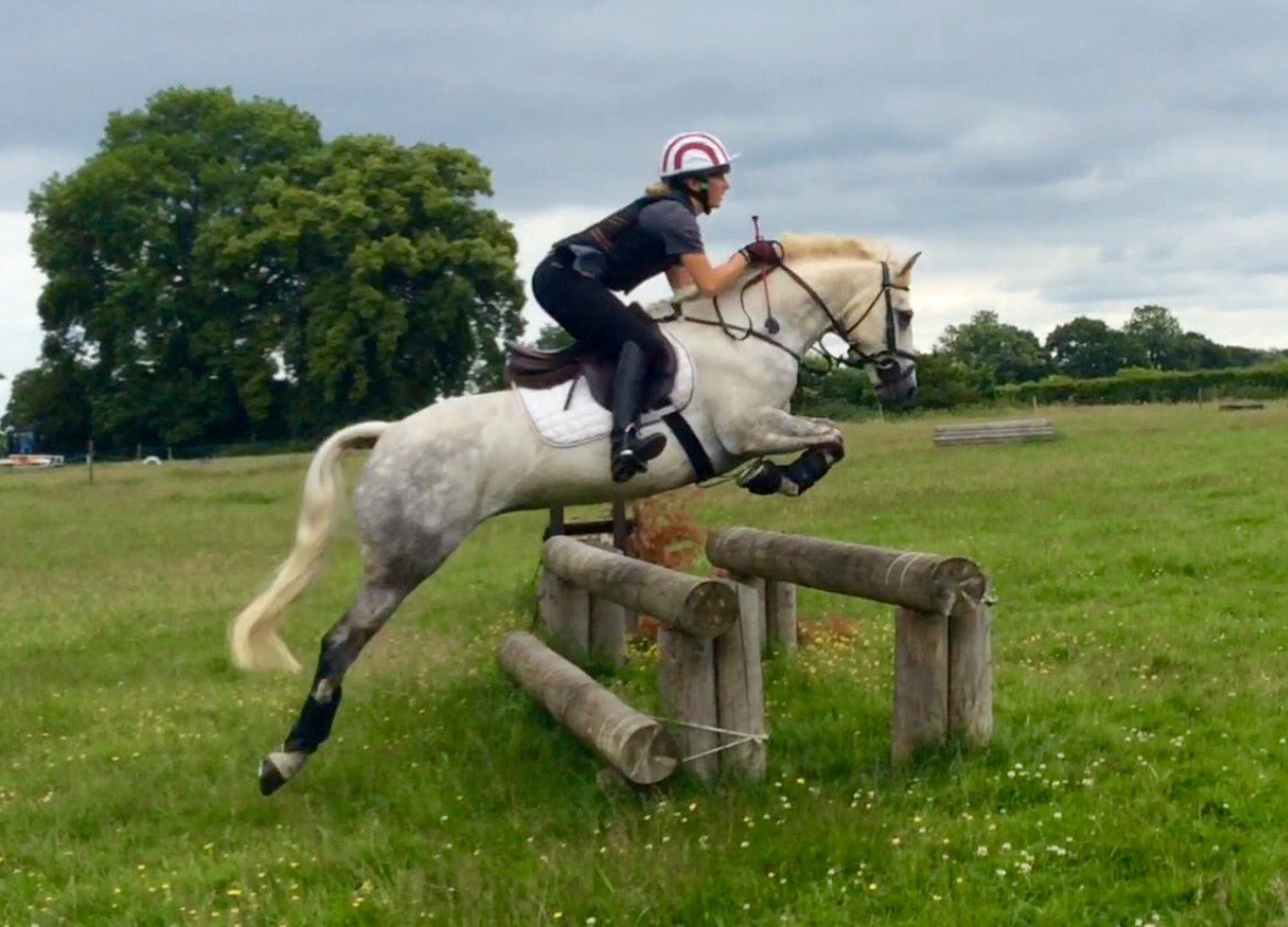 ColinaPickles's tweet photo. Little Lady loving her Xc school @SolihullRC. Getting ready for her first event in a few weeks. #picklesponies https://t.co/X2ijl6cYV1
