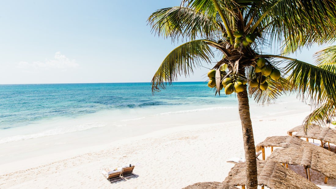 BBC_Travel's tweet photo. 16 hotels, businesses &amp; residences seized in #Tulum #Mexico in "war for land." https://t.co/HzBCKFgF3x #BBCinbrief https://t.co/uMksBMLyT4