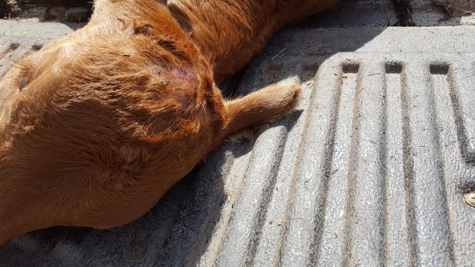 View image on Twitter View image on Twitter