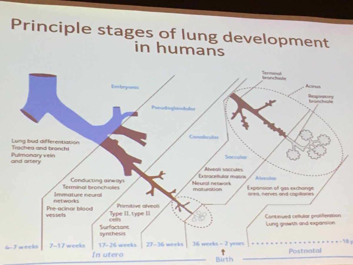 DalyFionadaly1's tweet photo. Air pollution directly affects both child development &amp; adults health Health profession must lead #airqualitymatters https://t.co/BkYeLPzndJ