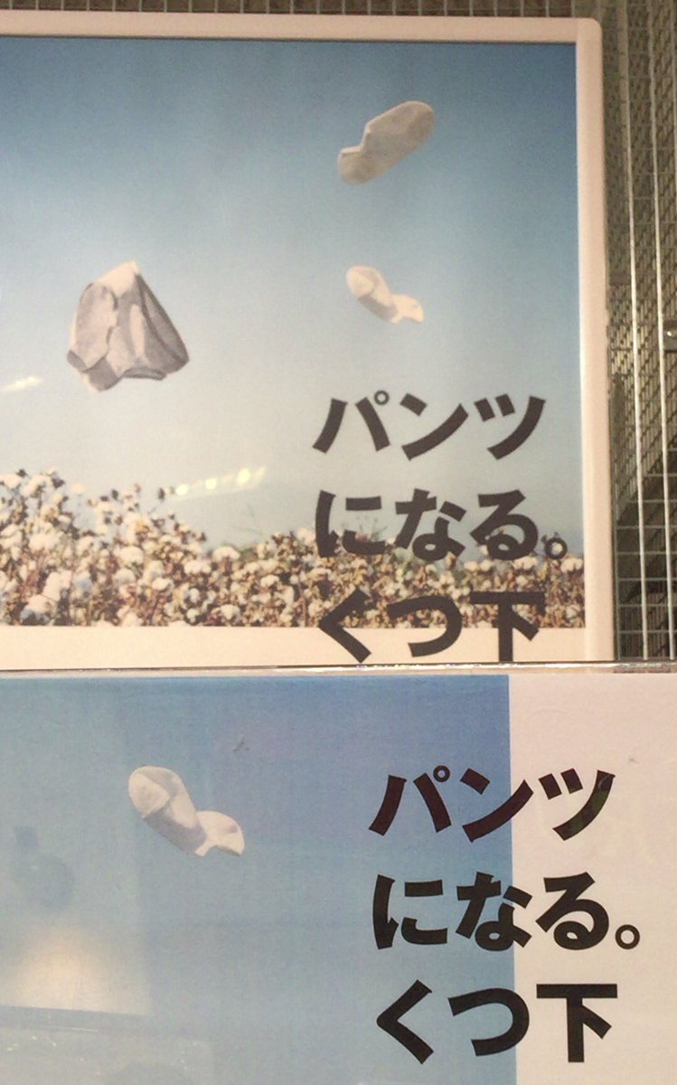 Spider1Japanese tweet picture