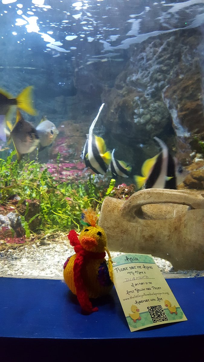 Aigus_ram's tweet photo. Just found this cutie on one of the tanks at work! #LittleYellowDuckProject https://t.co/wkMMyfO1gA