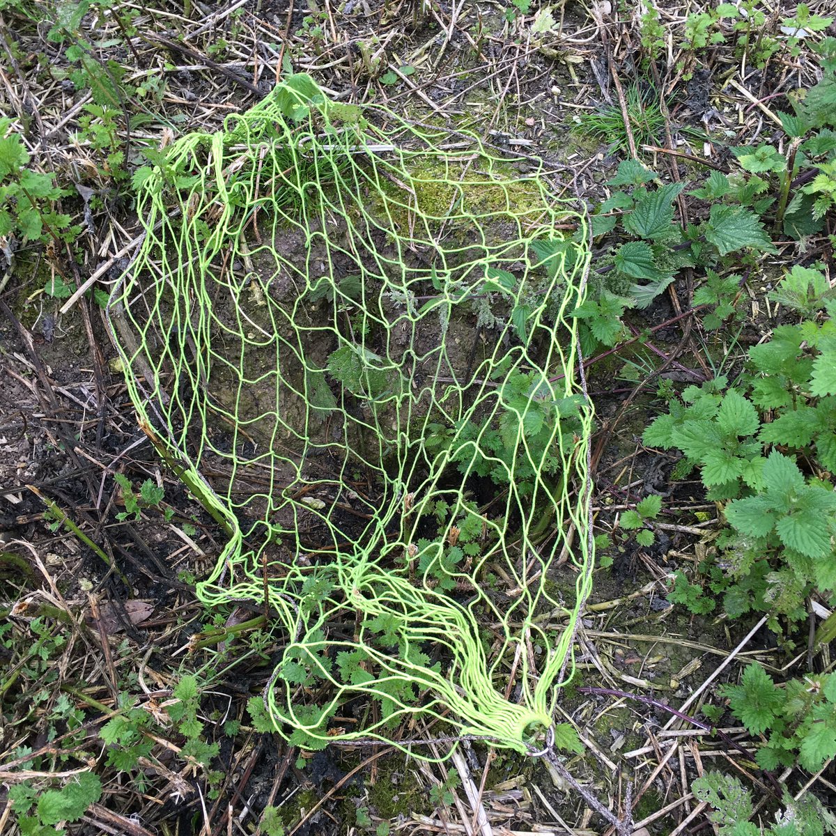 katemclean's tweet photo. Albino ferrets catch rabbits to make #Roman #smells! #research #creativePhD @EdwardUden @hannahplatts1 @CPBRA_CCCU https://t.co/4Bs22H2pXS