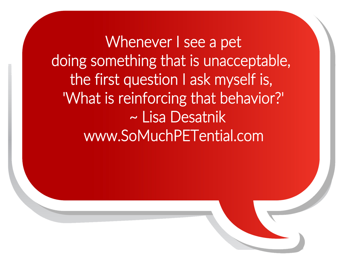 SoMuchPETential's tweet photo. Are you teaching your pet to do the behaviors you do not like? https://t.co/kk04Wvm5F5 https://t.co/QYQ2WhiyTV