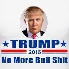 VirginiaRuby3's tweet photo. @shadohchaser  #DONALDTRUMPFORPRESIDENT2016 100% https://t.co/j4RQiEmaUC