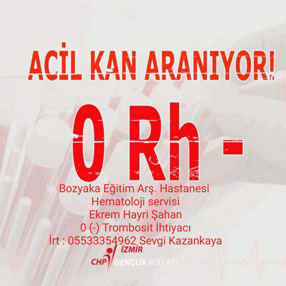 HSEYNGL1907's tweet photo. https://t.co/wjLPeXjRpz