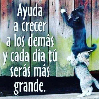 Feliz martes familia ! 😉