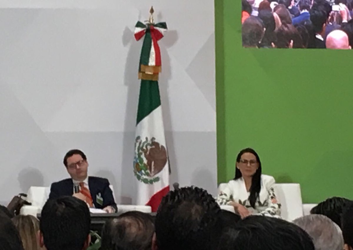EcoSocialSol's tweet photo. @AlejandraDMV Directora General @BANSEFI #FIIF2016 1.3 millones de personas en #PROIIF @SHCP_mx @cnbvmx https://t.co/7wXqDe9L5x