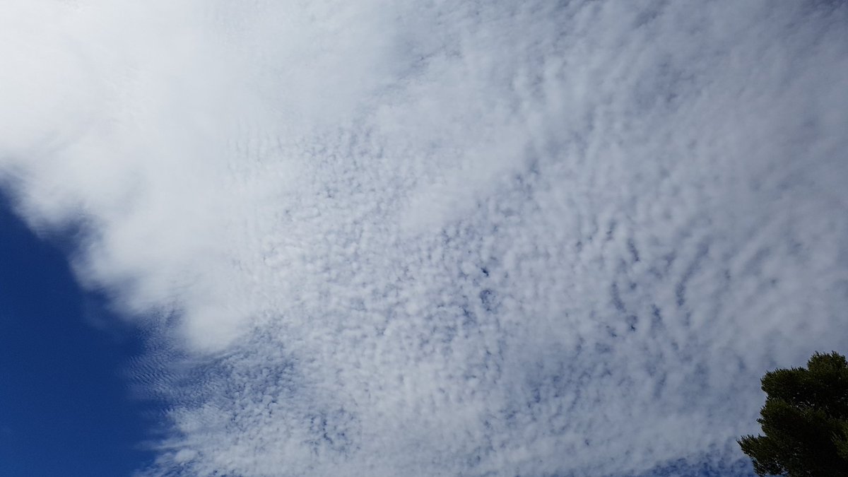 MeteoElRealon's tweet photo. #ComparteTuFotoDelDia
#Cirrius #Picassent https://t.co/YnQ1jqUWE7
