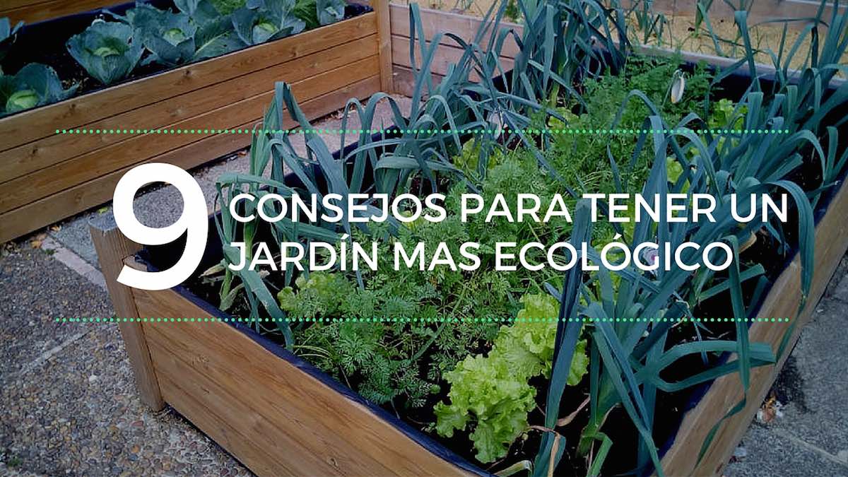 alternativaver1's tweet photo. 9 Consejos para tener un jardín mas sostenible https://t.co/kk50KZDxcW vía @EcoInventos https://t.co/fXkwHduzJp