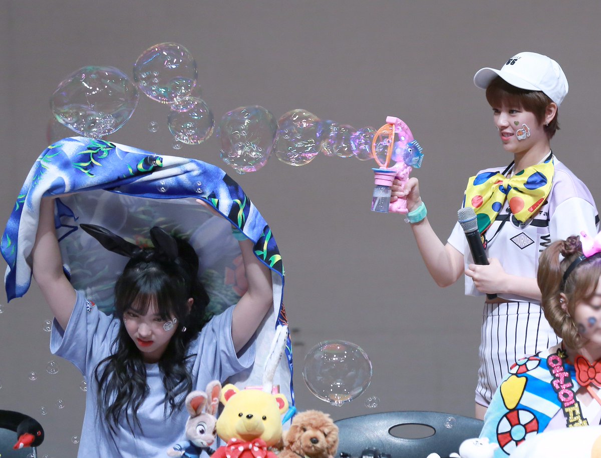 [트와이스] 꼬부기는 상성상 이상해씨의 좋은 먹잇감이죠 | 인스티즈