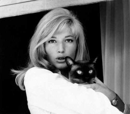 imperialblack's tweet photo. 11 of our favorite classic women. The girls from @julesmreid get it! https://t.co/PZL8HU6p5n #mensstyle https://t.co/er2B7auxDT