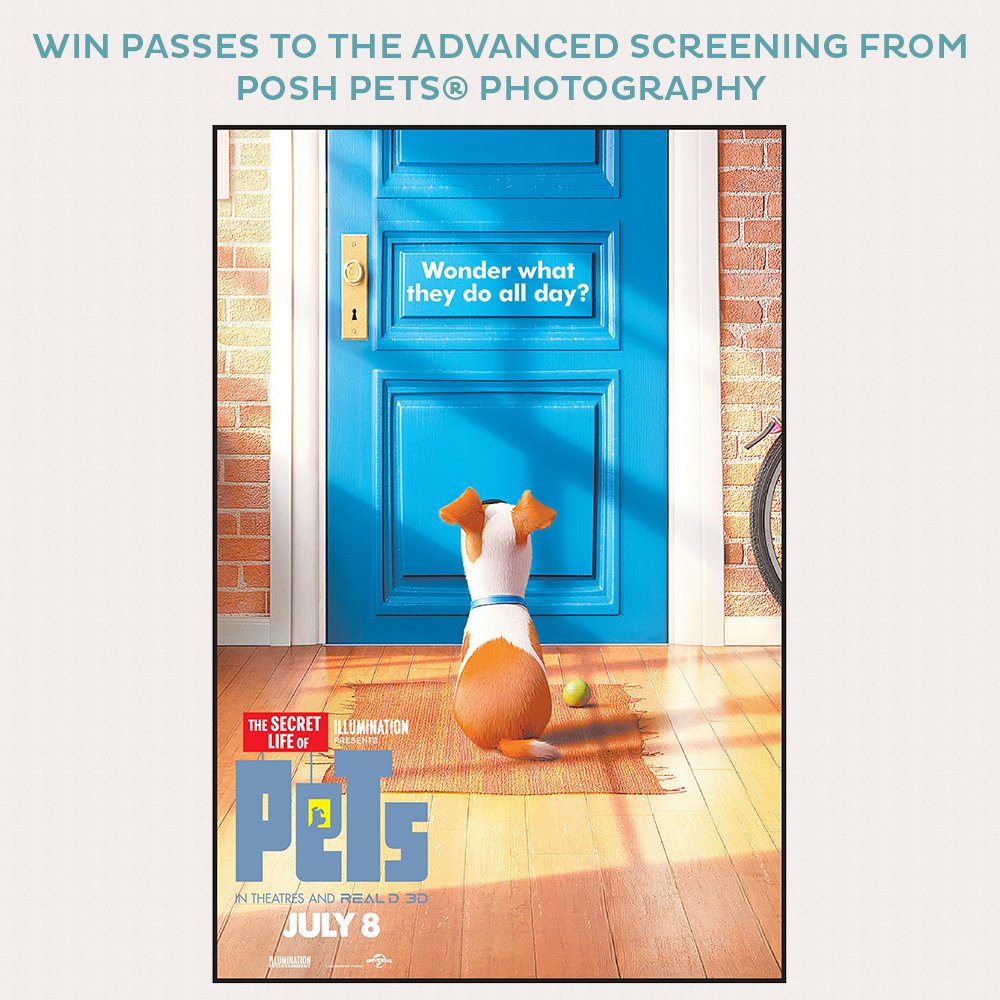PoshPetsPhoto's tweet photo. Want to go and see #SecretLifeOfPets this weekend? Enter here: https://t.co/LpZseY2F0j #Toronto #petchat #dogsofTO https://t.co/j5opoonk6T