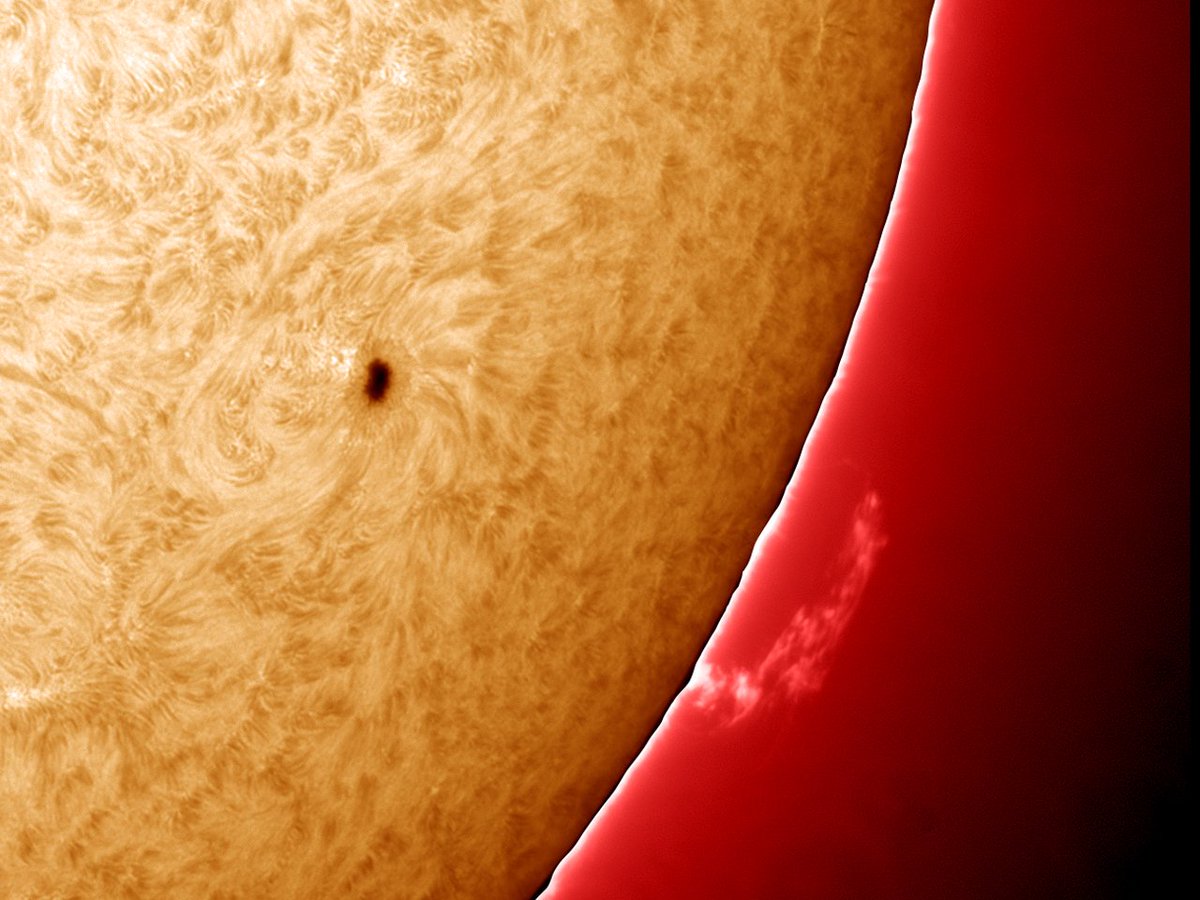 UllrichDittler's tweet photo. A great #Protuberance near #Sunspot AR12553 to observe today on the #Sun!
#SolarObserver, #Astrophotography https://t.co/zOMzlfOZvT