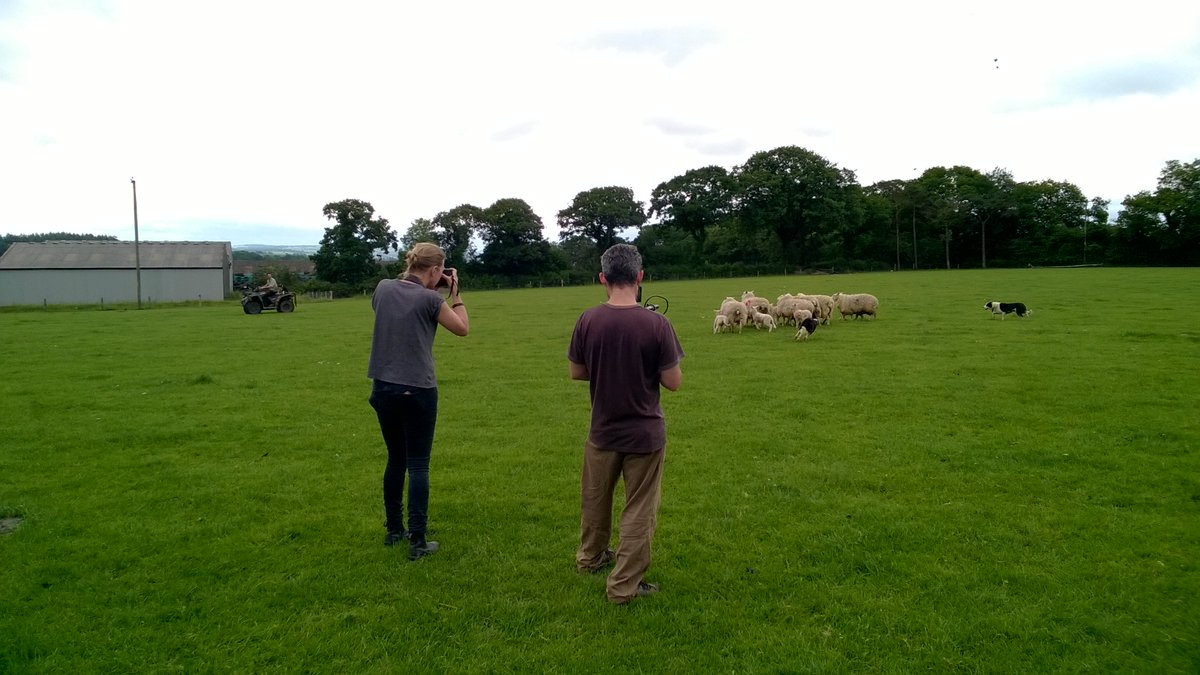 BladeSeth's tweet photo. Exciting day with @CoopAgriMatters filming in Devon. Even the sheep 🐑  are performing for the camera. #great day. https://t.co/GuxmifsCDA