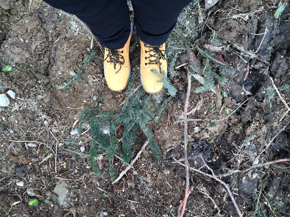NicolaMcAlley's tweet image. Hey, I got my new *work* shoes on and suddenly everything's right #steeltoecaps