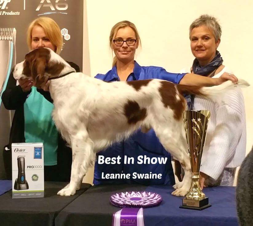 My manager Leeane swaine winning at Ausgroom Perth 12th june congratulations on every success to follow.