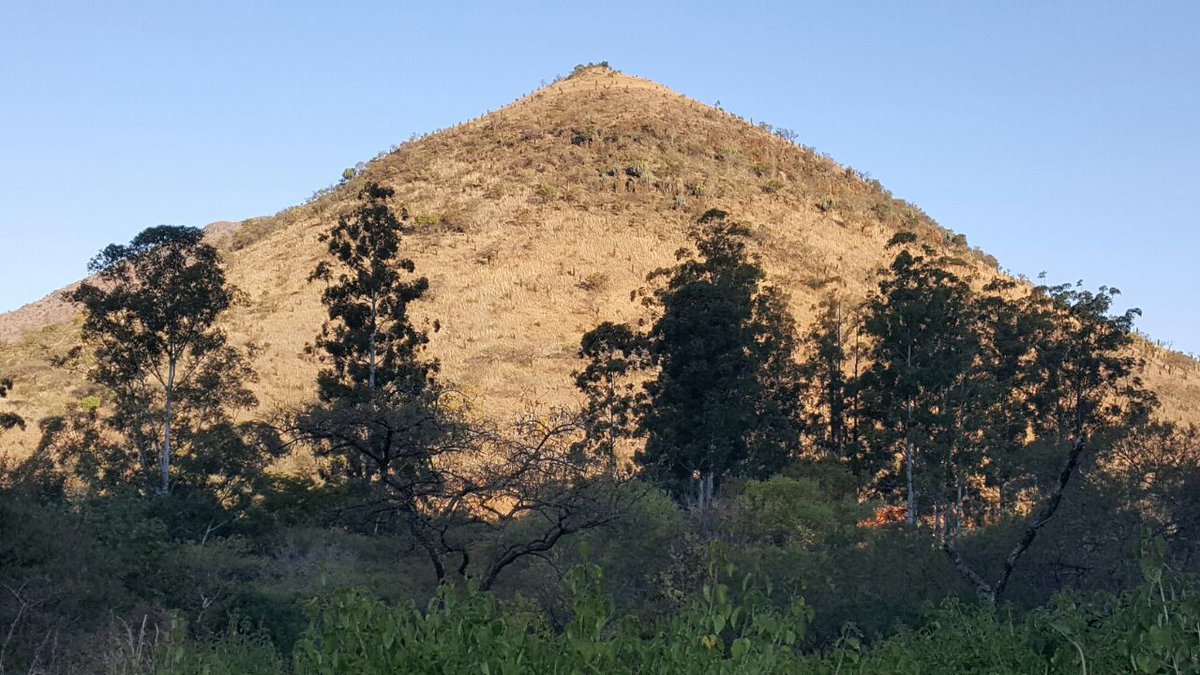 TurboMamba's tweet image. @TeamMutualSafes @aspsport @RudyProjectSA @High5_ZA #1 #busterbunny #bestproducts #technicallycool #ibustedthebunny