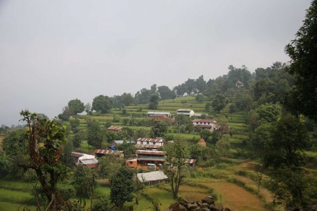 PerfectDailyG's tweet photo. The 20/20 Project - how listening to farmers cultivates sustainability. Read here: https://t.co/aP0jdi6YAL https://t.co/U9ONdkFrZ5
