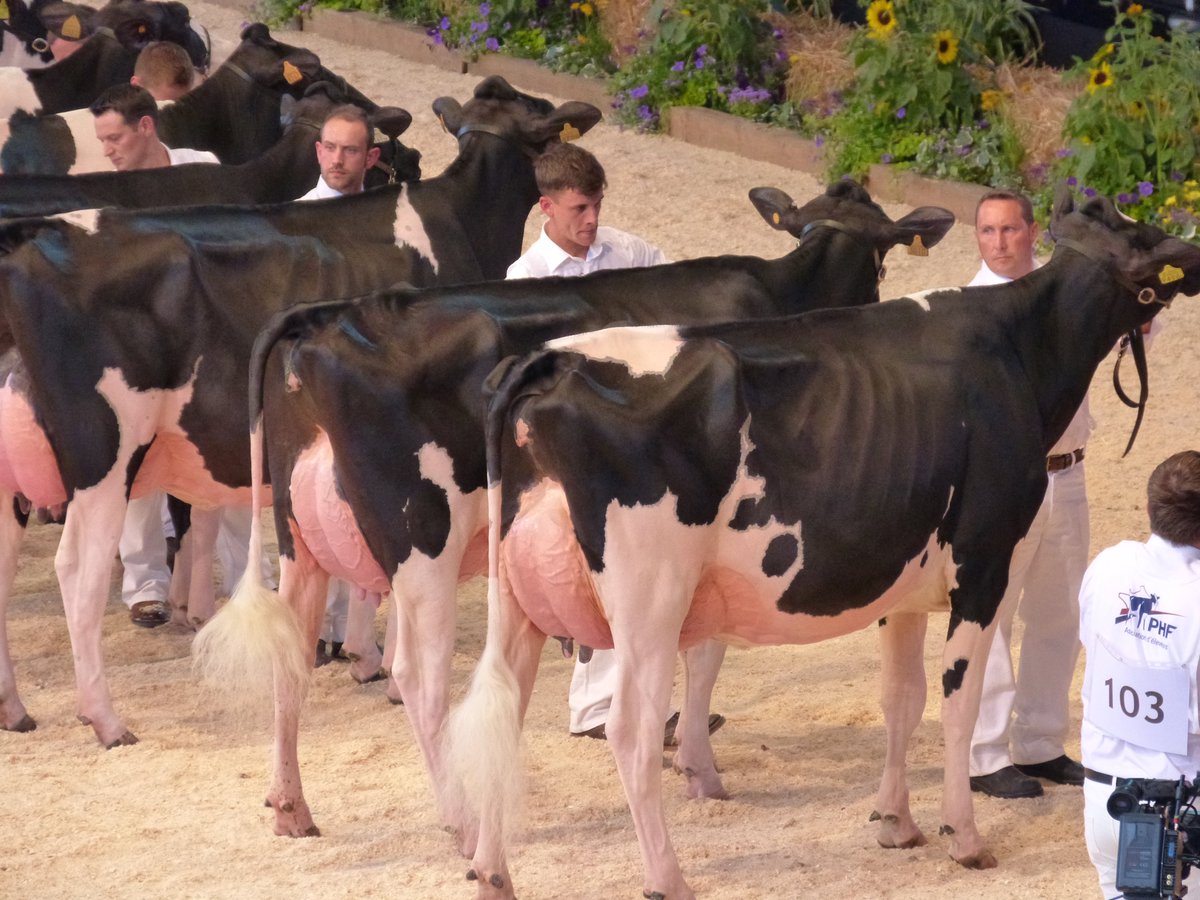 youtu.be/r9FwezjU36U videobeelden ,fantastische middenklasse Colmar