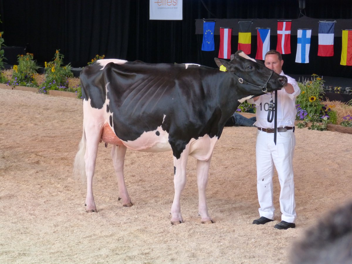 youtu.be/MhVZjgIOwXo video van de vaarzen en sfeer in Colmar