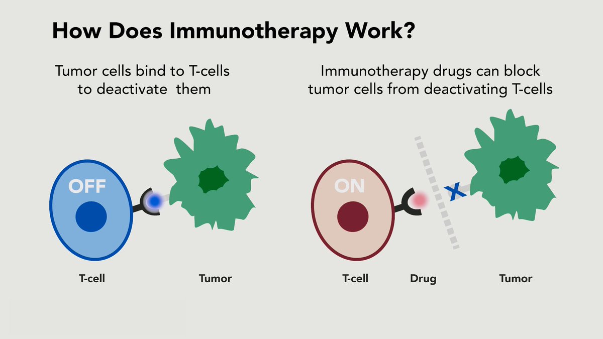 DenvaxClinic's tweet photo. #TumorCell binds T-cells to deactivate them. In #Immunotherapy drugs can block tumor cells from deactivating T-cells https://t.co/iaZjuaxg9M