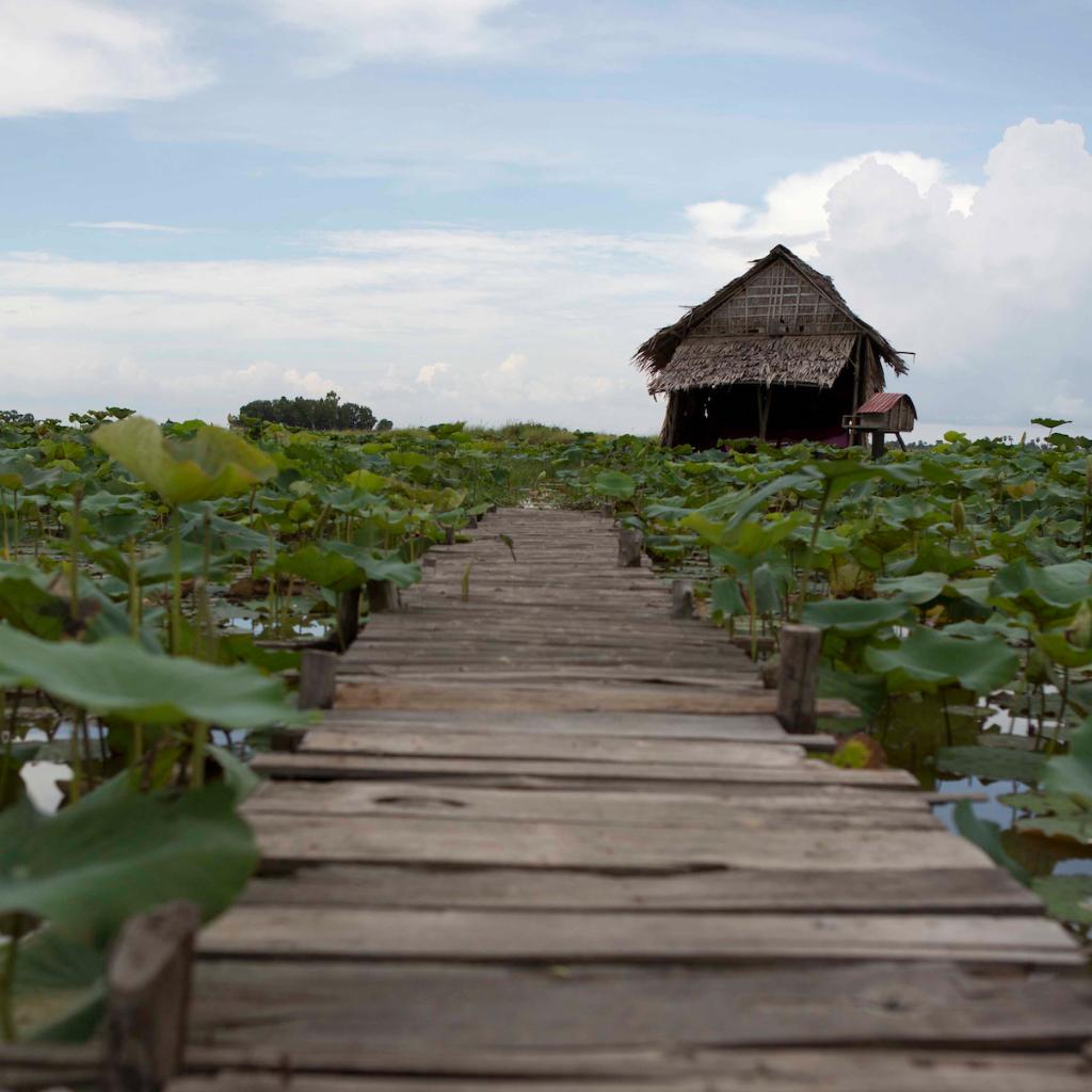 "You’ll miss the best things if you keep your eyes shut." — Dr. Seuss