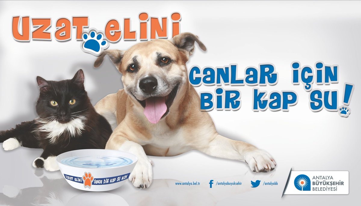 Mahalleli bizi susuz bırakmaz 🐾 #birkapsu 🤗