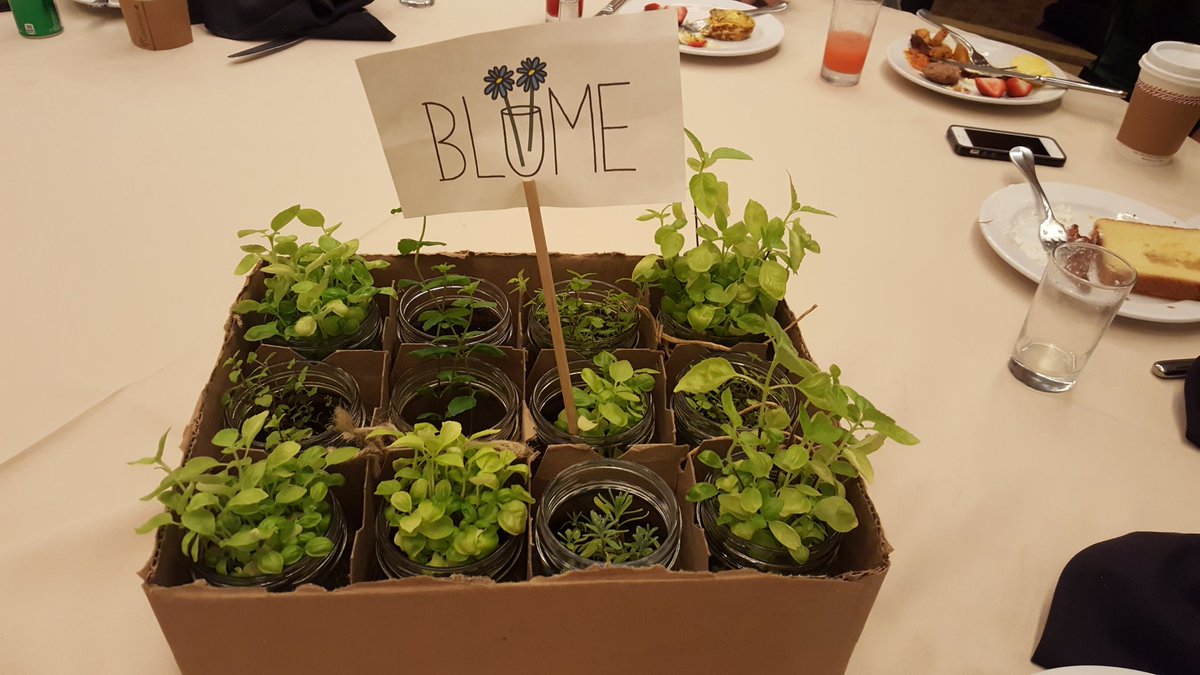 Blume4JA's tweet photo. Breakfast of champions 😊 #goteamblume #blume4ja @JAStudentSummit @JA_Philly #jasummit #alba https://t.co/Zkpg7du5S2