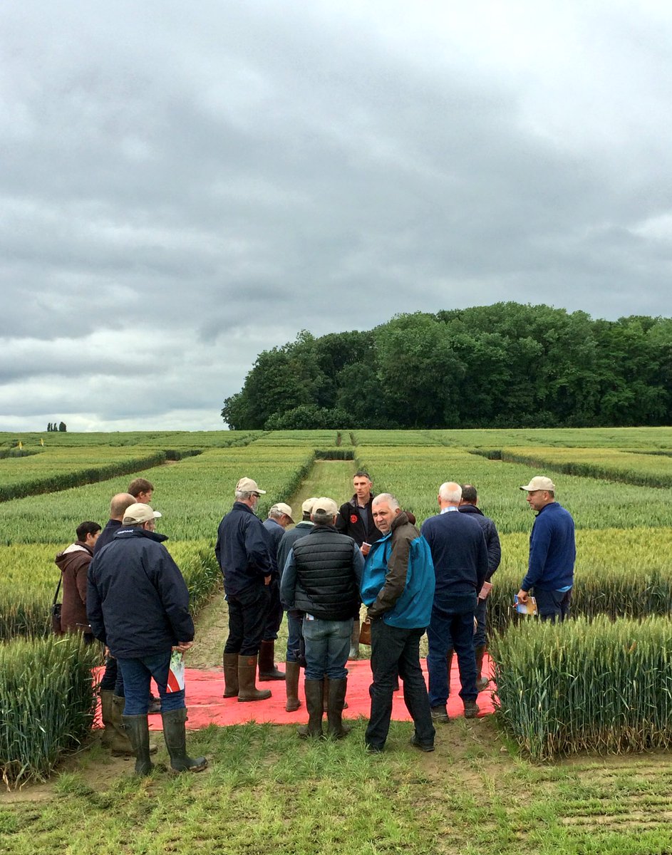 BernardLGSeeds's tweet photo. Walter aan de slag met VL #landbouwers tijdens #graandemo in #Alleur #Limagrain #Clovismatton https://t.co/Uyvf8DdvoO