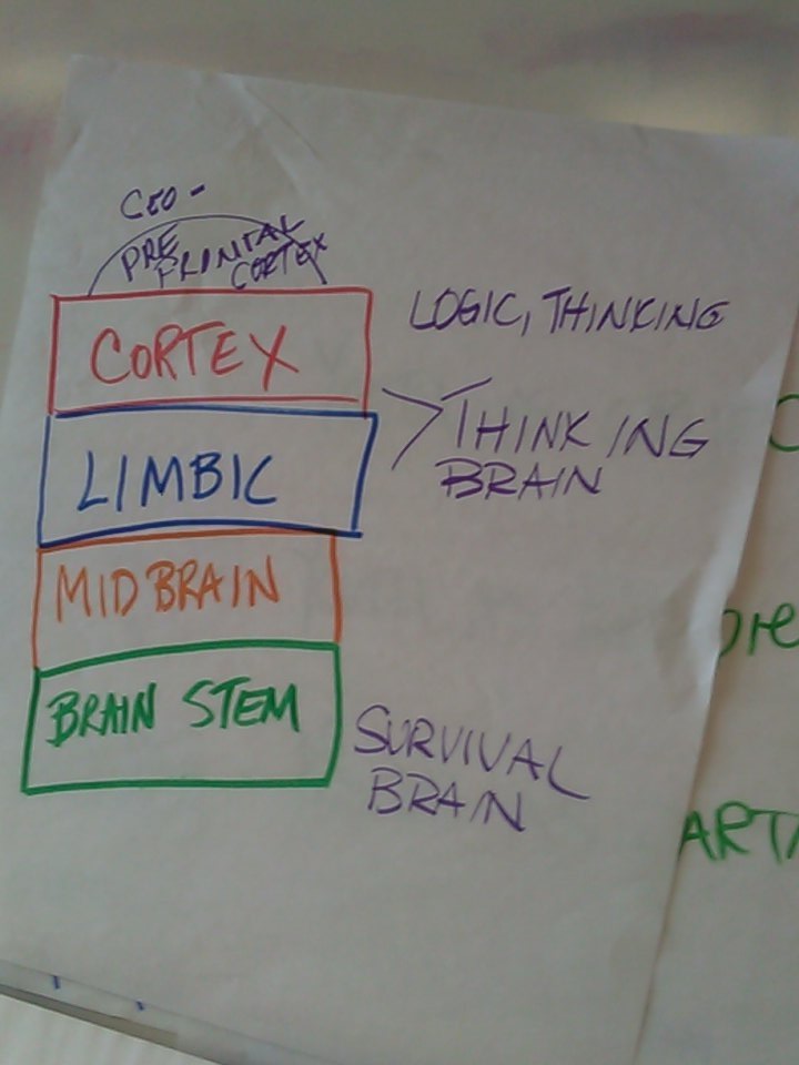TMDEOhio's tweet photo. Logical thinking is the last to develop https://t.co/kPUWqWu6gp