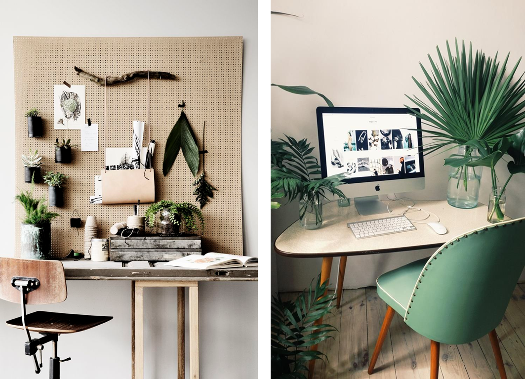 Planten op Kantoor, gezellig en functioneel! bit.ly/28L6j5a #blog