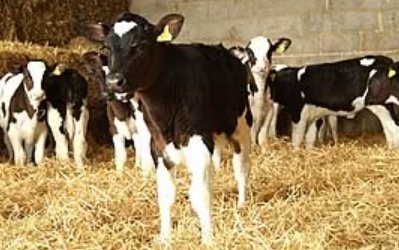 View image on Twitter View image on Twitter